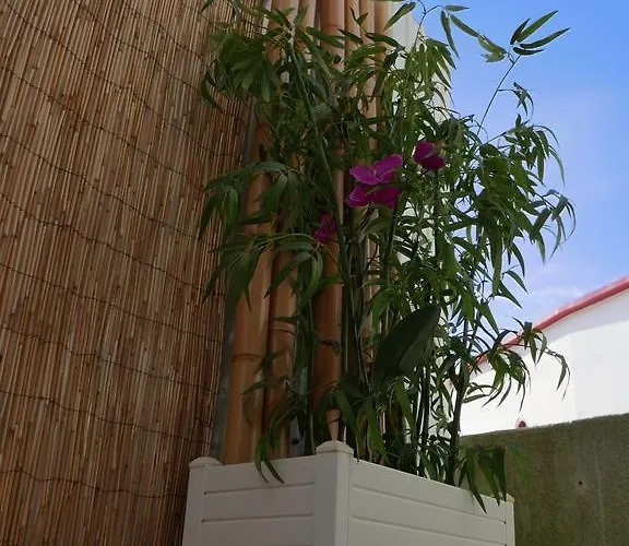 בית נופש Casa Do Cabeta