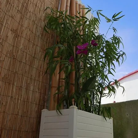 Casa de Férias Casa Do Cabeta